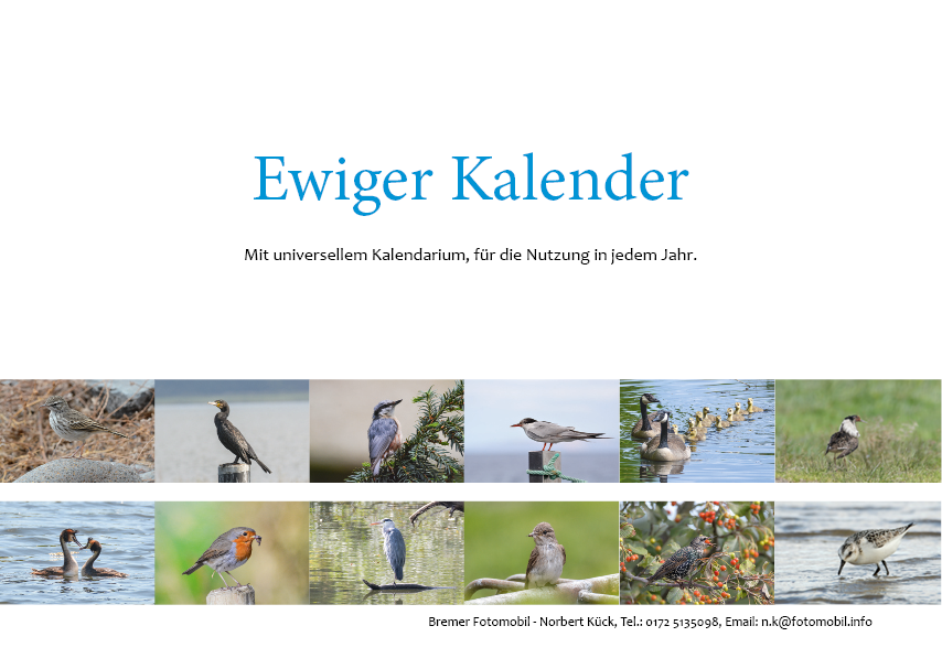 Ewiger Kalender